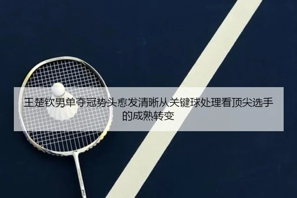 王楚钦男单夺冠势头愈发清晰从关键球处理看顶尖选手的成熟转变